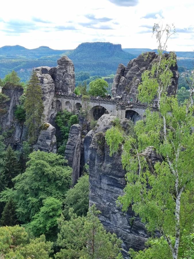 Ankommen, Wohlfuehlen Und Die Natur Geniessen Lichtenhain  エクステリア 写真