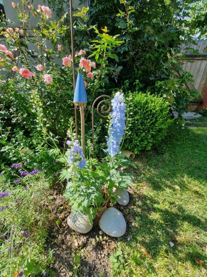 Ankommen, Wohlfuehlen Und Die Natur Geniessen Lichtenhain  エクステリア 写真